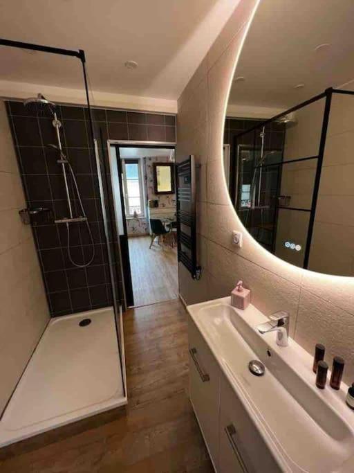 Les Pyou-Pyous Apartment Nancy Ngoại thất bức ảnh