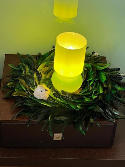 Les Pyou-Pyous Apartment Nancy Ngoại thất bức ảnh