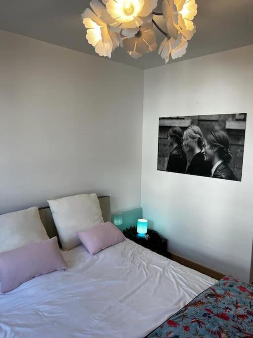 Les Pyou-Pyous Apartment Nancy Ngoại thất bức ảnh