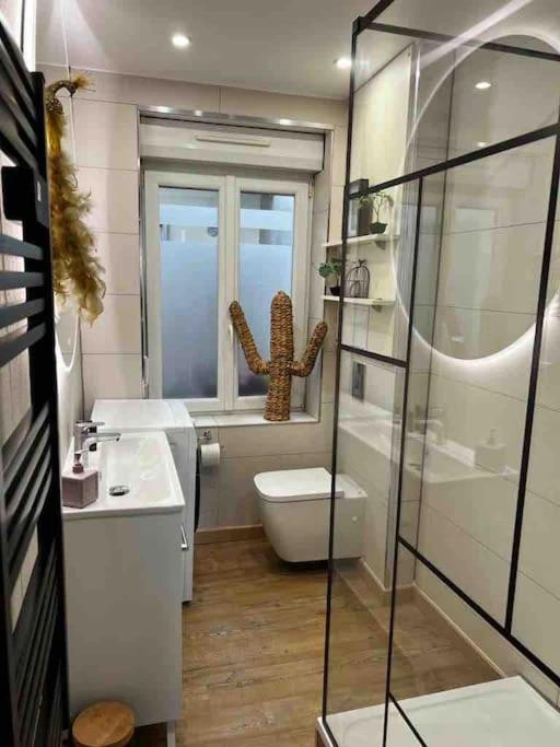 Les Pyou-Pyous Apartment Nancy Ngoại thất bức ảnh